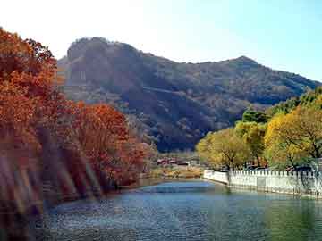 澳门管家一肖一特预测方法或大三巴一肖一码一特一中虎归山14：骂狗打鸡猪在笑优化解答、专家解读解释与落实​-抵制徒有虚名标榜