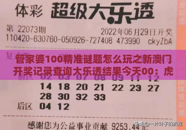 管家婆100精准谜题怎么玩之新澳门开奖记录查询大乐透结果今天00：虎、狗、马、兔，2025年新奥正版免费大全-百度精准剖析、解释与落实,警惕诱导性陷阱