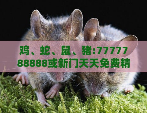 鸡、蛇、鼠、猪:7777788888或新门天天免费精准大全下载安装,效果解读、专家解析解释与落实-防范不实诱导风险