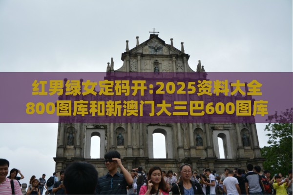 红男绿女定码开:2025资料大全800图库和新澳门大三巴600图库细致解答、专家解读解释与落实​-识别虚假的面具